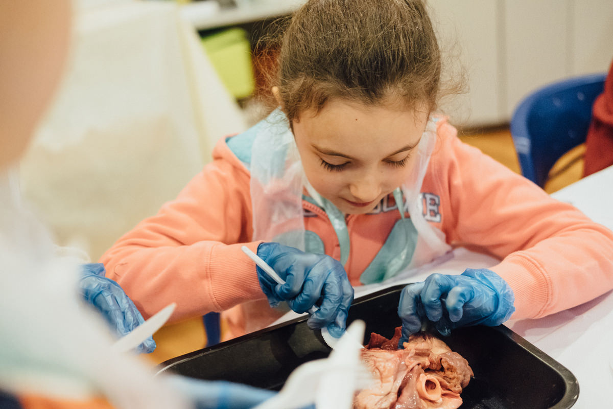 ADVANCED SCIENCE SUMMER CAMP (MON. 29 JUNE – FRI. 3 JULY 2020)