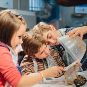 Science Christmas camps for children aged 4-8 with Richer Education in London