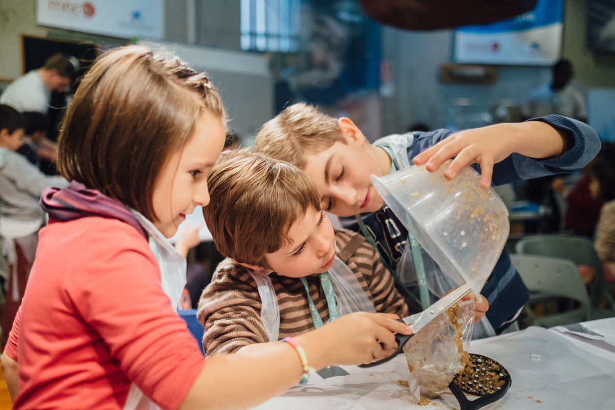 Science Christmas camps for children aged 4-8 with Richer Education in London