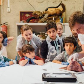 Science camps for children aged 4-8 with Richer Education in London