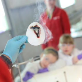 Science Easter camps with Richer Education
