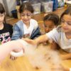 Science camps with Richer Education in London