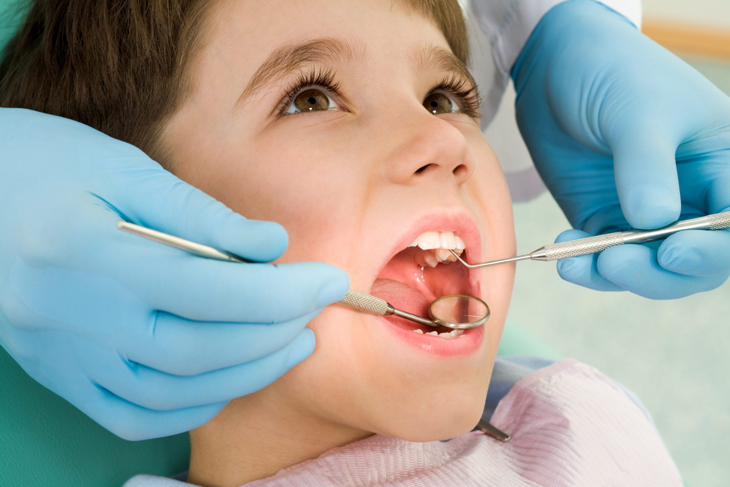 PRE-DENTISTRY WITH RICHER EDUCATION. SUMMER CAMPS